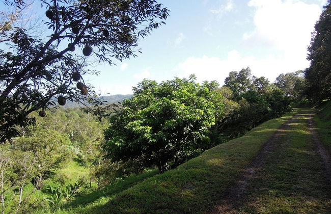 Tanah Aina Farouq - Foto 27