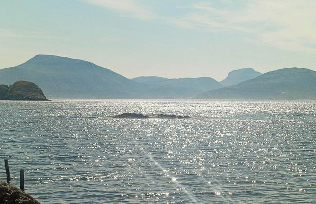 8 Person Holiday Home in Sandstad - Photo 34