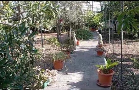 Casa vacanze Il Carrubo - Foto 29