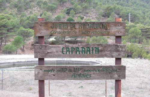 Casa Curro - Mansión con Piscina - Foto 44