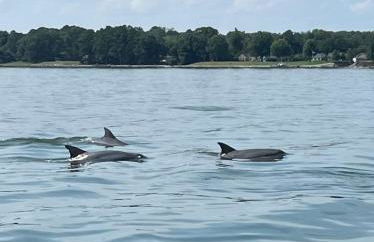 Water's Edge Cottage Luxury Retreat - Foto 6