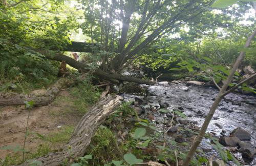 Wald-Apartment - Foto 69