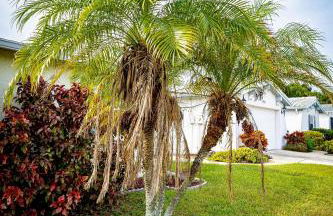 Marlin's Palm Oasis - Beach House, Amazing Pool, BBQ Area - Photo 35