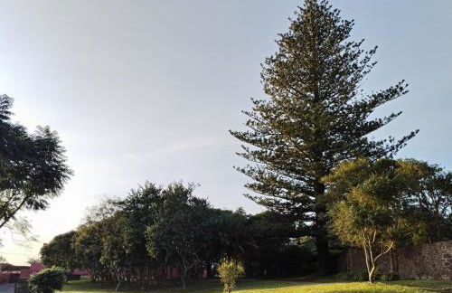 Quinta da Casa Grande - Photo 14