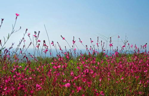 Enastron Villas - Foto 113