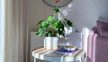 Aillo Living Spaces - Foto 5