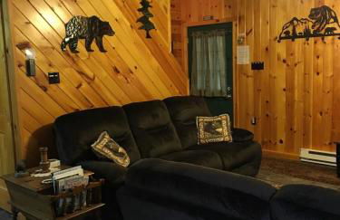 Secluded Cabin Nestled in the Mountains near the Tioga State Forest, Pennsylvania - Foto 18