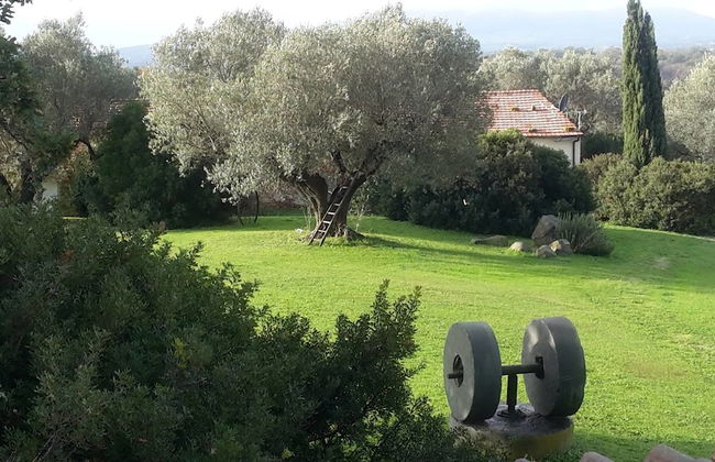 Nuovo Cerrosughero - Photo 31