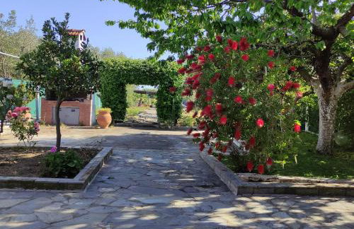 Katerina's Countryside and Sea House - Foto 9