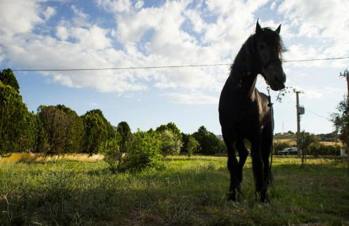 Agriturismo Fontana la Pietra - Foto 35