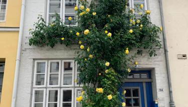 Kulturdenkmal 60 m2 HISTORISCHES BALKENHÄUSCHEN von 1749 - Foto 2