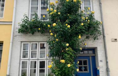 Kulturdenkmal 60 m2 HISTORISCHES BALKENHÄUSCHEN von 1749 - Foto 2