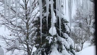 Ferienhaus Sauerlandtraum - Foto 2