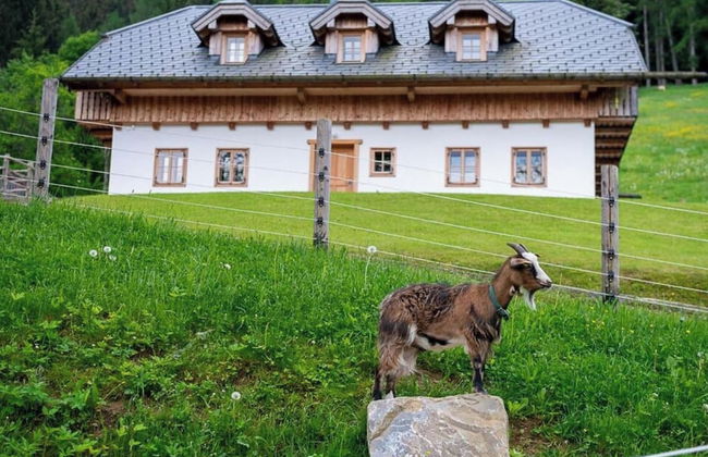 Infanglalm "attersee" - Foto 33