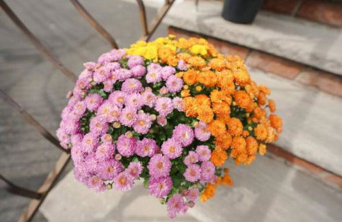 Newark Liberty Brick House - Private Bedroom 3 - Foto 8