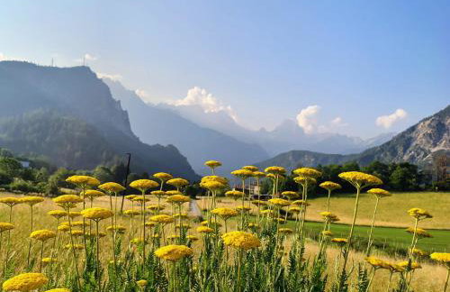 Tra prati e monti - Dolomiti Bellunesi - Foto 2