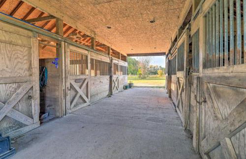 Havelock Country Cabin on Working Horse Farm! - Foto 22