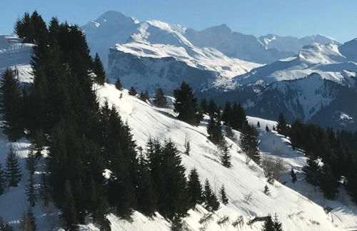 Résidence Les Chardons Argentés - Foto 26