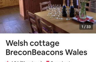 Llwyn Llwyd Cottage - Photo 10