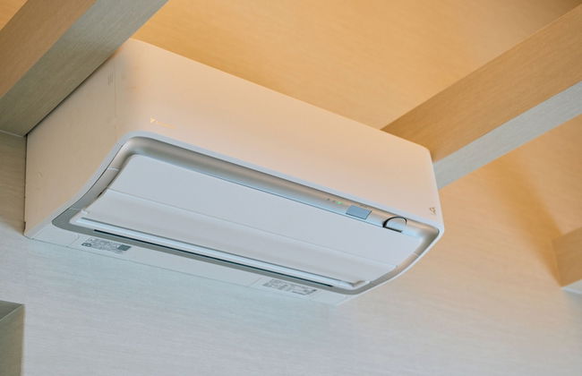 KONJAKUSO Osaka Tempozan KANOH SHOHAKU - Foto 24