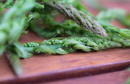 Apartments Villa Stapo - Foto 35