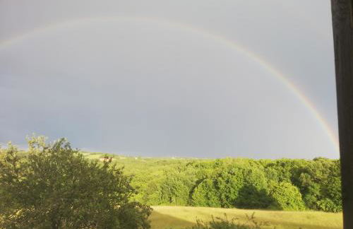 Au petit bois magique - Foto 24