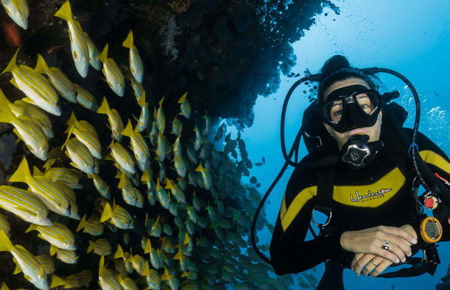 Arraial do Cabo Diving Introduction - Photo 8