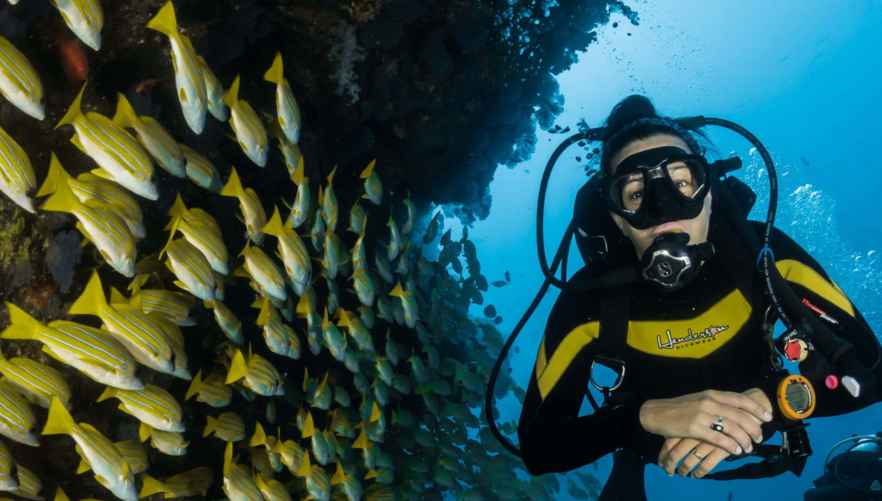 Arraial do Cabo Diving Introduction