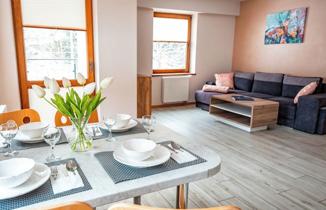 Apartamenty Sun & Snow Zielony Las - Foto 51