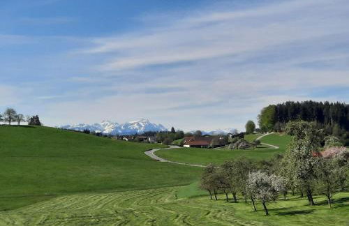 Ferienwohnung Pusteblume - Foto 25