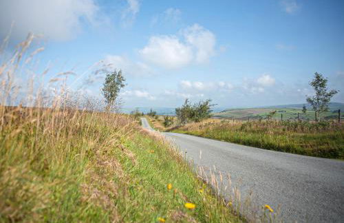Dol Y Mynydd The Mountain Meadow - Cottage - Photo 39