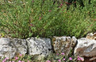 Villa Vinki - Foto 7