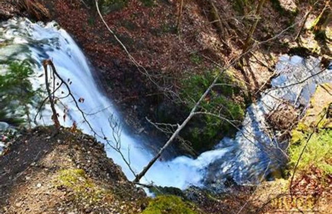 Ferienhaus in Wieda mit Garten - Foto 23