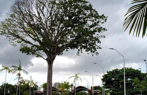 A cozy apt in the heart of Nazareth - Foto 72