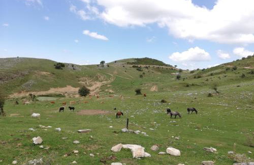 Olympus Country House - Foto 31