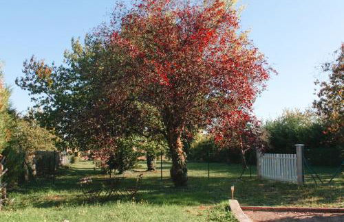 Appartement Jungle Cosy - Bureau & Fibre - 10min du Futuroscope - Foto 6