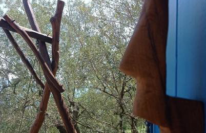 Casa Delle Olive - Foto 14