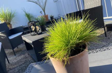 Casa Benedicta - Foto 51