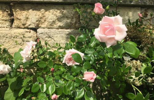 Little Hideaway - Central Frome - Foto 5