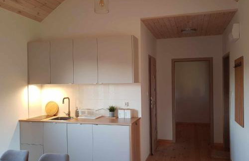 Domek Wypoczynkowy Zacisze w Makosiejach z dostępem do rzeki, z balią i jacuzzi - Foto 18