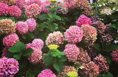 Kerellouan Family house 8 near Beach Cap Frehel - Foto 26