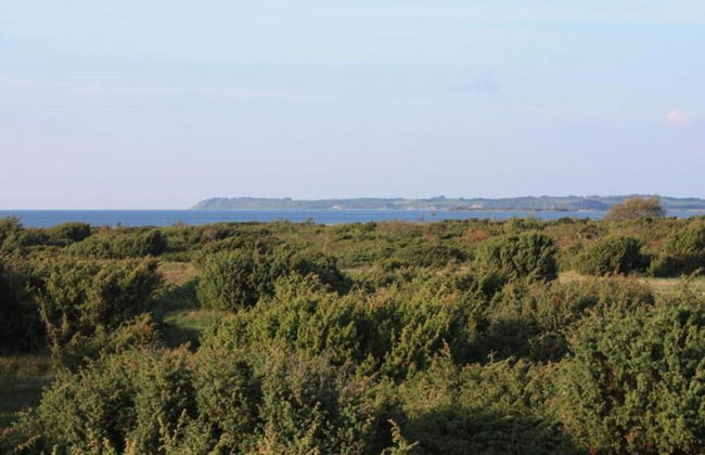 Tranquil Seaside Haven-by Traum - Foto 11