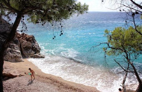 Apartmani Zaninović - Foto 23