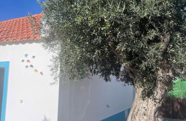 Quinta das Andorinhas Alentejo countryside and beach - Photo 8