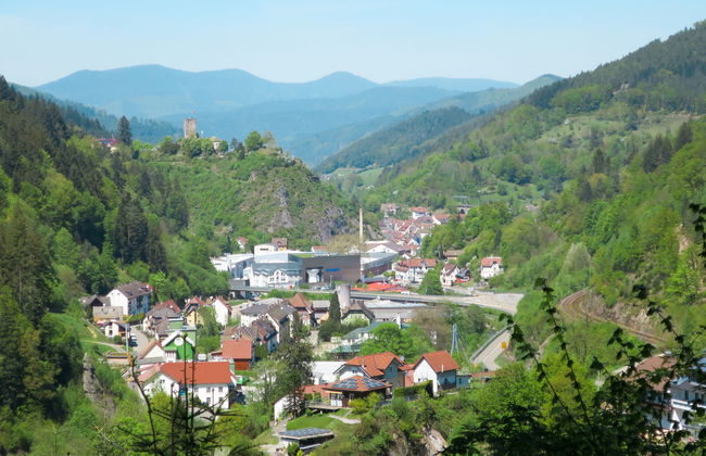 Sonnenschein - Foto 23