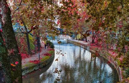 Olina's Luxury Apartment - Foto 24