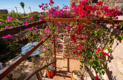 Pandera areopoli - Foto 20