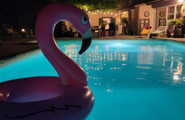 Domaine 15 pers, Piscine, Pétanque, Canal du midi - Photo 20