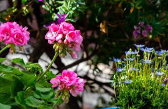 Sideratos Apartments - Photo 7