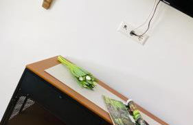 Heimatliebe Erfweiler Wohnung ZWÄ - Foto 10